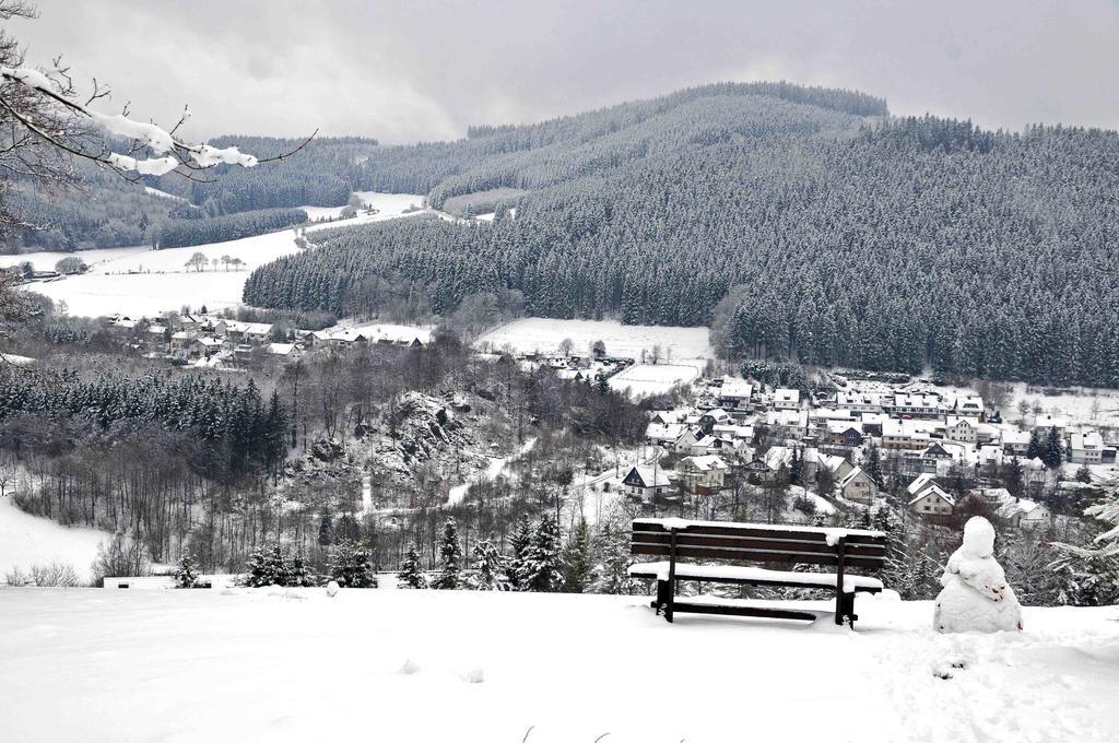 Hotel Niedersfeld-Winterberg Dış mekan fotoğraf